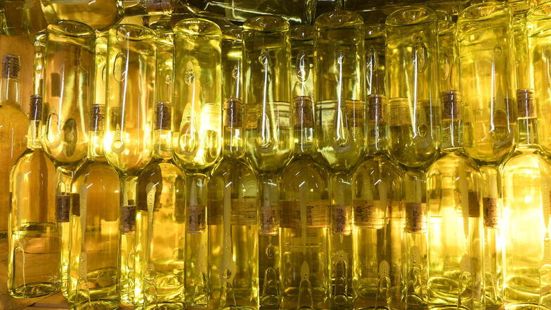 Die richtige Farbe für den Goldriesling von Gut Pesterwitz: Hier nach Abfüllen und der Lagerung für den Abtransport vom Weingut Schuh in Coswig.