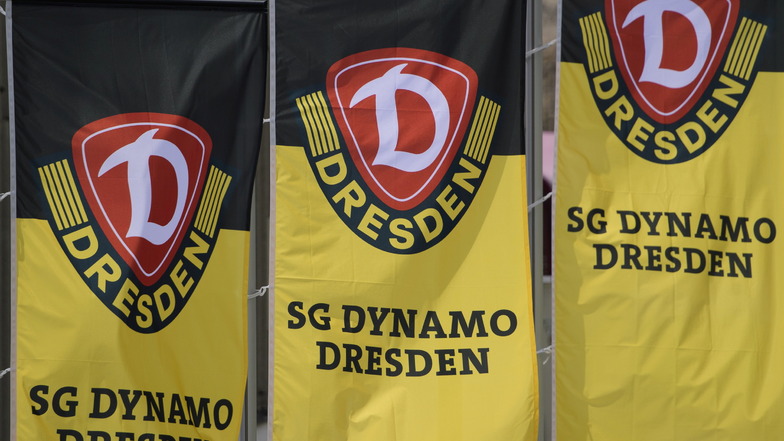 Dynamo will während der Länderspielpause im Rhythmus bleiben und spielt gegen Usti nad Labem.