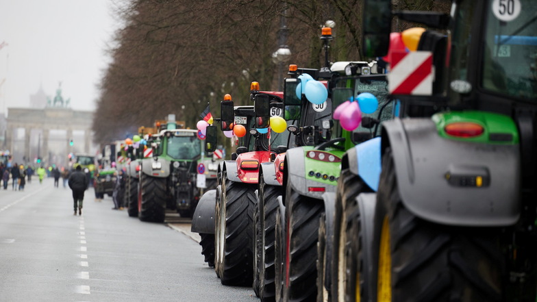 Sachsens Bauern sind besonders abhängig von Agrarsubventionen