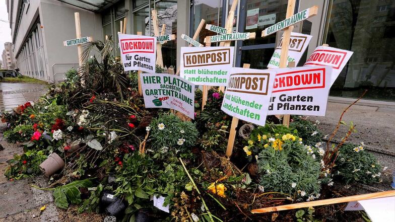 Demonstranten haben am Sonntag Blumen und Erde vor das Sozialministerium in Dresden gekippt.