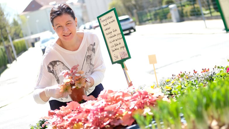 Anne Griesel von der Gärtnerei Griesel auf der Zscheilaer Straße kann auch in diesem Frühjahr ihre Stammkunden begrüßen. Hinzu gekommen sind neue Kunden, die sonst in den jetzt geschlossenen Baumärkten Pflanzen gekauft haben.
