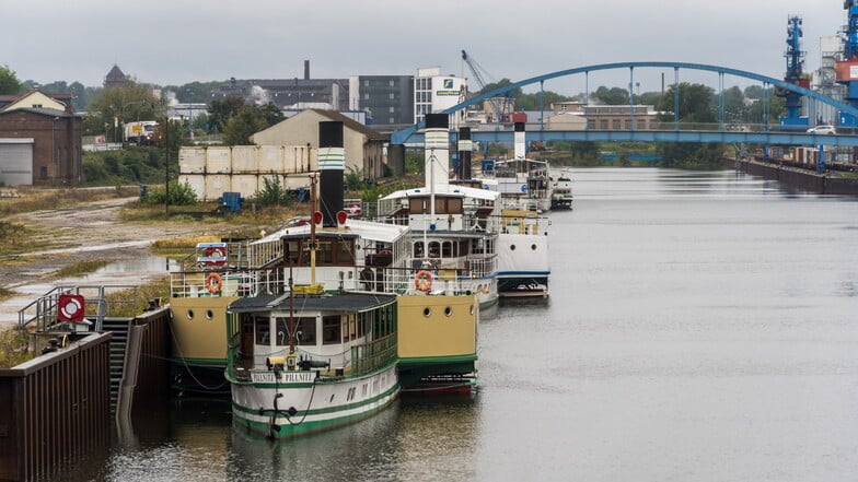 In Riesa haben derzeit vier Dampfer der Weißen Flotte festgemacht. Sie wurden wegen des drohenden Hochwassers und der teileingestürzten Carolabrücke in den Nachbarhafen gebracht.