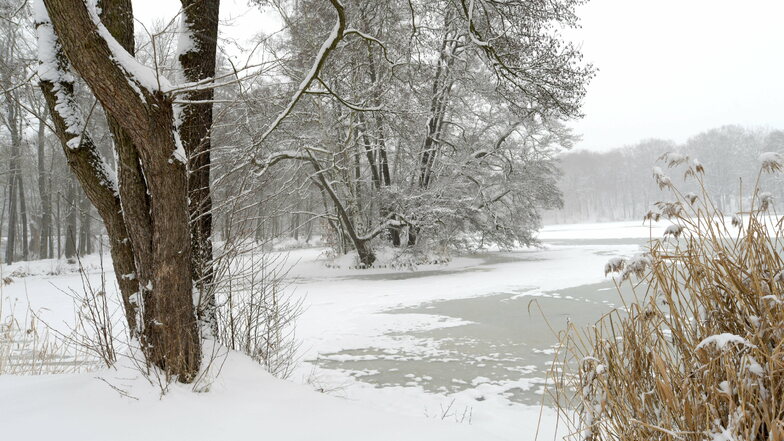 In winterlicher Ruhe der Teich an der Gondelfahrt in Oppach.