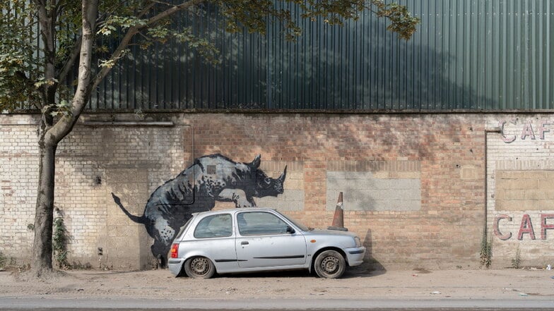 Nashorn mit Auto.