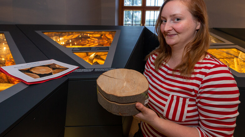 Liane Albrecht-Kramer bearbeitet als Restauratorin beim Landesamt für Archäologie die Funde aus Dippoldiswalde.