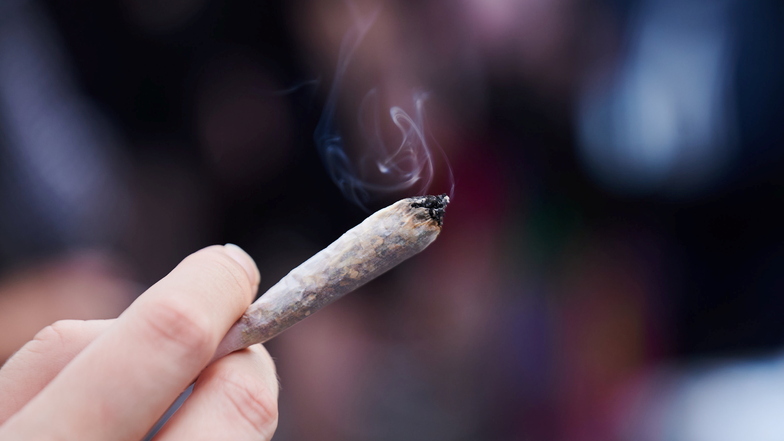In Fast der Hälfte aller Verstöße gegen das Betäubungsmittelgesetz spielte 2023 im Landkreis Meißen Cannabis eine Rolle.