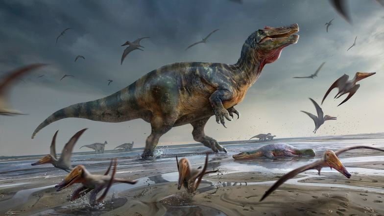Forscher finden Fossilien von riesigem Raub-Dinosaurier