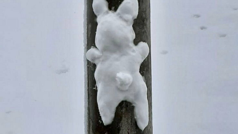 Schneemänner waren gestern: Schneehasen sind der neue Trend in diesem Winter. Das sagt Frank Heinze aus Rosenthal und hat solch ein Exemplar fotografiert - hübsch drapiert an einem Laternenmast.