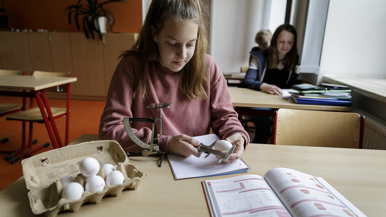 Nach dem Eierlaster-Unfall: Schüler der Klasse 9.2 am Joliot-Curie-Gymnasium Görlitz versuchen sich an der Lösung einer Knobelaufgabe.