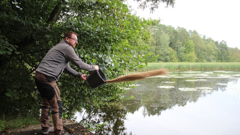 "Der Teich beinhaltet so viel Leben, da kann man nicht einfach Chemie einsetzen", erklärt Andreas Hilger.