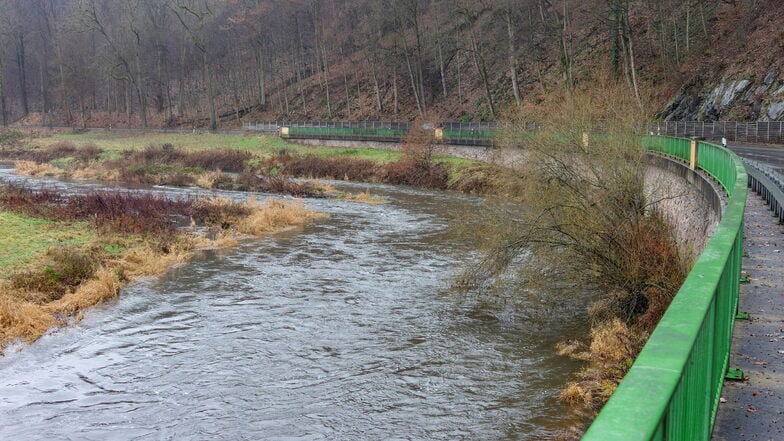 Für die Mulde zwischen Roßwein uns Sermuth wird ein Gewässerentwicklungskonzept erarbeitet.