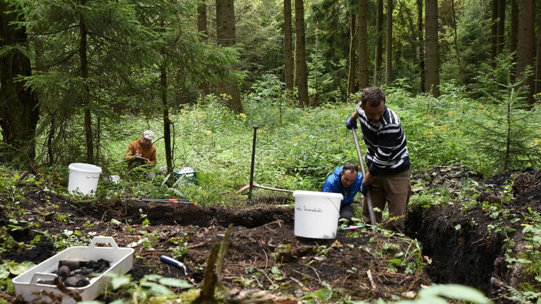 Wissenschaftler aus dem Projekt Archaeoforest untersuchen die Reste eines Holzkohlenmeilers im vorderen Grünwald bei Schönfeld.