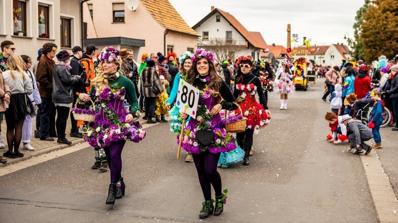 Die Blumenfeen - weitere Fotos mit vielen tollen Kostüme vom Weiberfaschingsumzug am Sonnabend in Wittichenau sind online auf hoyte24.de zu sehen.