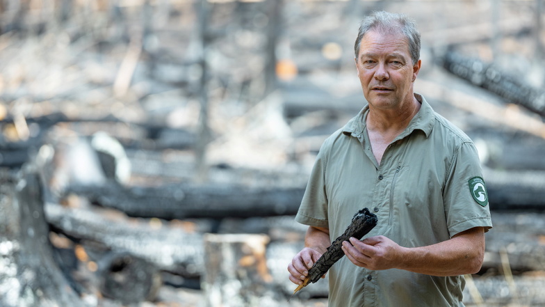 „Die Natur wird ihren Weg finden“: Nationalpark-Ranger Peter Hübner begutachtet das Brandgebiet unweit von Schmilka in der Sächsischen Schweiz.