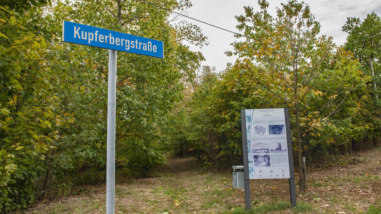 Einen Spaziergang auf den Kupferberg in Großenhain kann man immer machen. Doch der Tag der Parks und Gärten wird hier wie im Stadtpark nicht stattfinden.