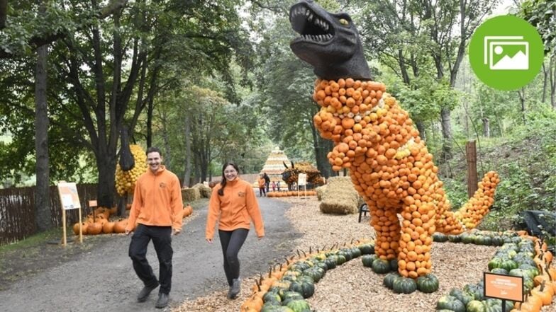 Riesen-Kürbisausstellung in Freitals Oskarshausen: Alle sehen Orange!