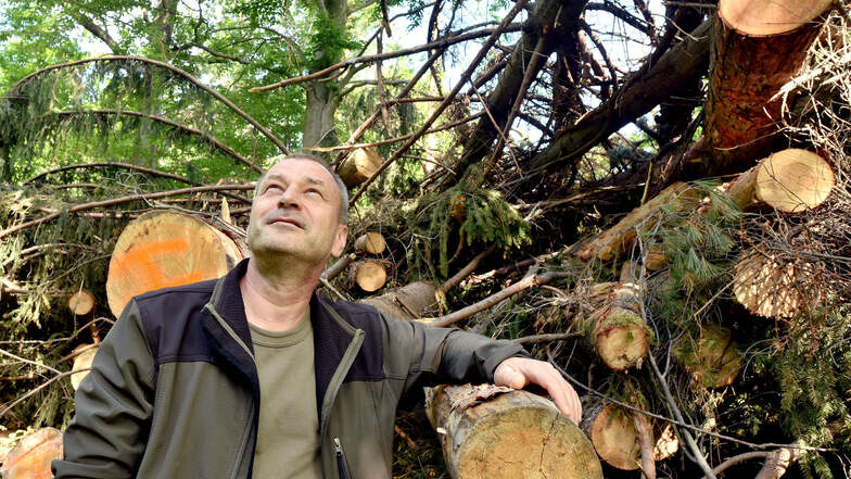 Revierförster Matthias Forgber versucht trotz großer Waldschadens-Probleme positiv in die Zukunft zu schauen.