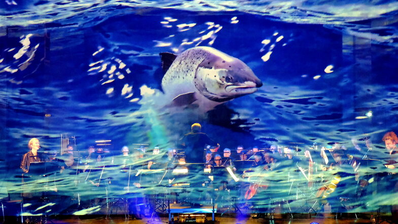 Musiker und Computerexperten brachten das Hologramm-Konzert "Unten im Meer" gemeinsam auf die Bühne.