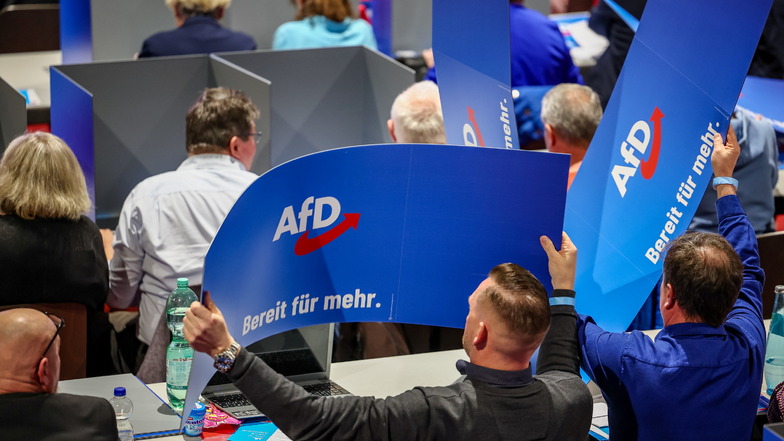 Delegierte der AfD bauen mobile Wahlkabinen auf dem Landesparteitag der AfD in Glauchau auf.