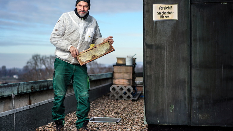 Imker Wolfgang Zell nimmt die Winterbehandlung der 150.000 Bienen auf dem Dach des Dresdner Bellevue-Hotels vor.