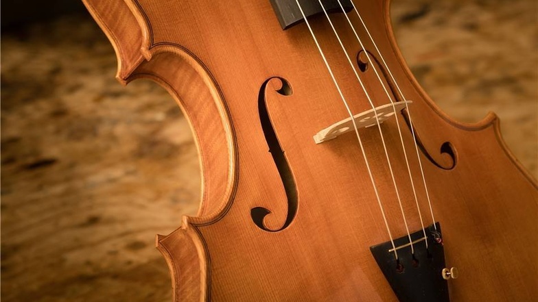 In der Linienführung nehmen die Öffnungen im Instrument, das auch Viola genannt wird, das Wappen wieder auf.