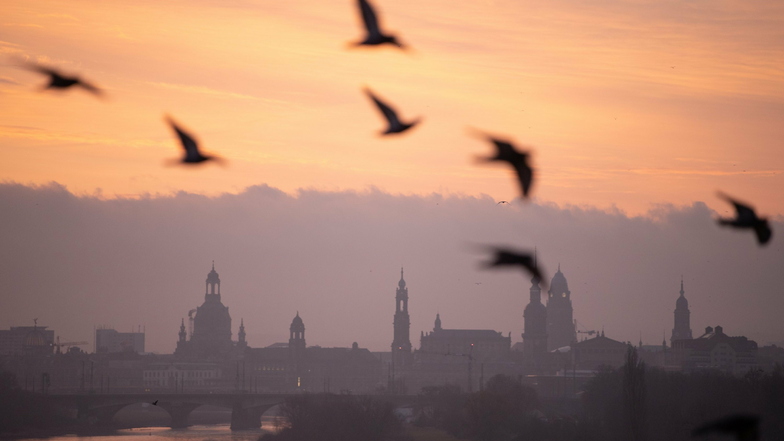 Dresdens Altstadtkulisse beeindruckt vor allem Touristen - doch die Einwohner nehmen ab. Warum?