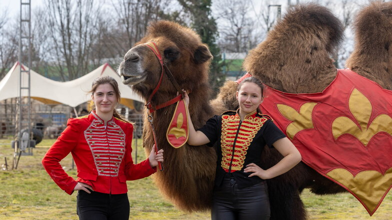 Der Circus Magic ist in Großenhain. 

Anjaly Endres (17, links) und Roxana Endres (15) präsentieren im Vorfeld das 14-jährige Kamel Ali.