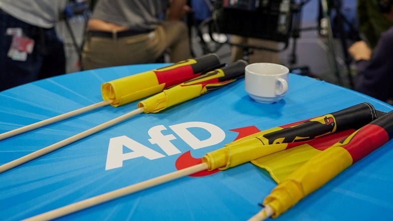 Hohe AfD-Ergebnisse bei Europa- und Kommunalwahl: So reagieren die Parteien in Sachsen