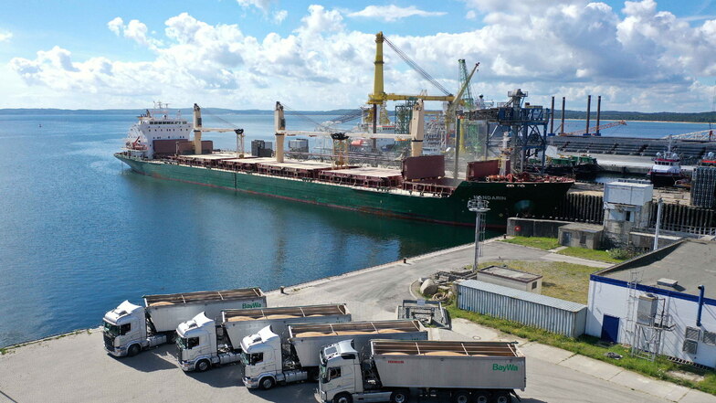 Vier Lastwagen mit Getreide stehen am Kai in Mukran bei Sassnitz. Der Hafen wird nun ausgebaut, damit Weizen aus Sachsen in größeren Mengen nach Afrika verschifft werden kann.