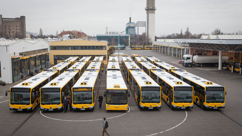 Busse suchen Fahrer: Im DVB-Depot in Gruna warten Linienbusse auf ihren Einsatz.