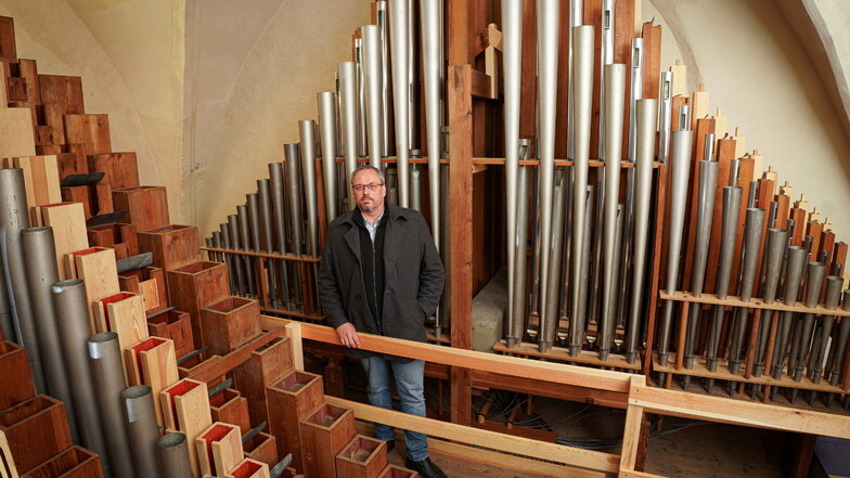 Orgelbaumeister Dirk Eule steht zwischen den Pfeifen der Eule-Orgel im Bautzener Dom St. Petri. Es ist das größte von Firmengründer Hermann Eule gefertigte Instrument.