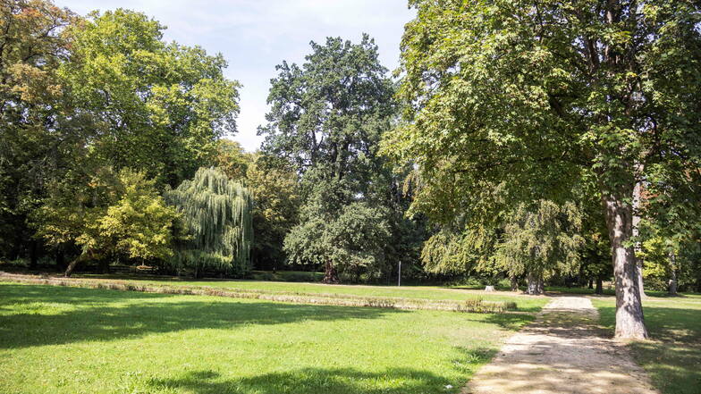 Neues Grün für Seerhausens Schlosspark