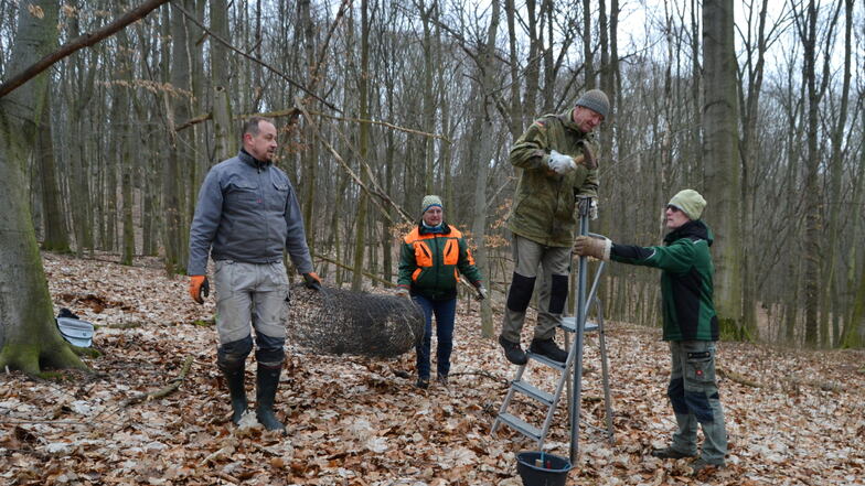 Die Nabu-Mitglieder Swen Blobel, Renate und Volker Wilhelms sowie Alf Terpe (v.l.) beim Versetzen des Wildschutzzaunes im Seußlitzer Grund.