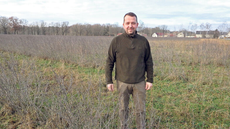Das Aronia-Feld war im Februar noch karg und grau. Matthias Domanja ist zuversichtlich, dass die Ernte in diesem Jahr endlich ansprechend ausfällt.