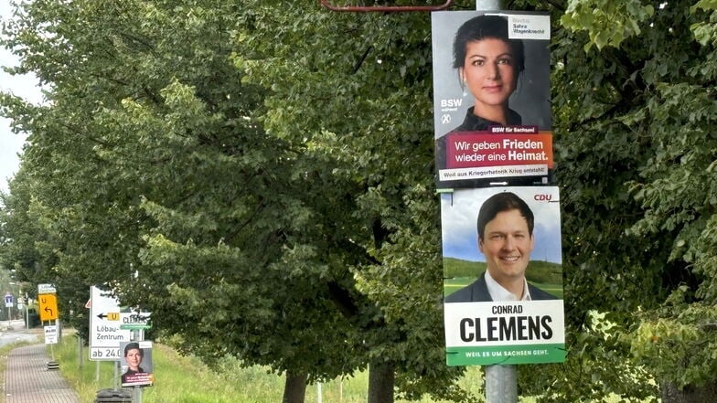 Wahlplakate in Löbau. Die Linke sagt, sie hingen zu früh.