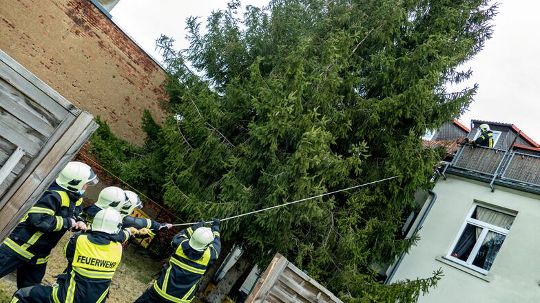 Ein großer Ast war im Hof des Hauses Pestalozzistraße 56 in Hartha von einem Baum abgebrochen und gegen die Fassade gekracht. Mit vereinter Kraft entfernten die Harthaer Feuerwehrleute den Ast.
