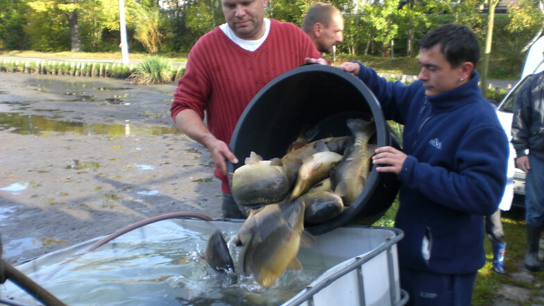 In Seeligstadt bewirtschaftet der Sportverein seit 42 Jahren den Teich. Das traditionelle Abfischen im Herbst gehört dazu.