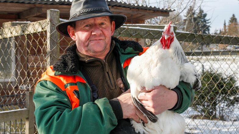 Gockel "Albano" und Lothar Geldner, Lebensgefährte der Hühnerhalterin.