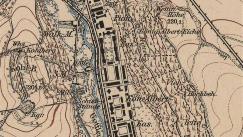 Das Pirnaer Messtischblatt von 1915 zeigt den Standort der „König-Albert-Eiche“ in der Viehleite.
