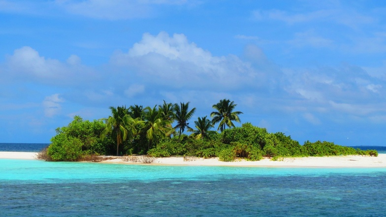 Die Regierung der Malediven versteigert 16 der mehr als 1.000 mehrheitlich unbewohnten Inseln.