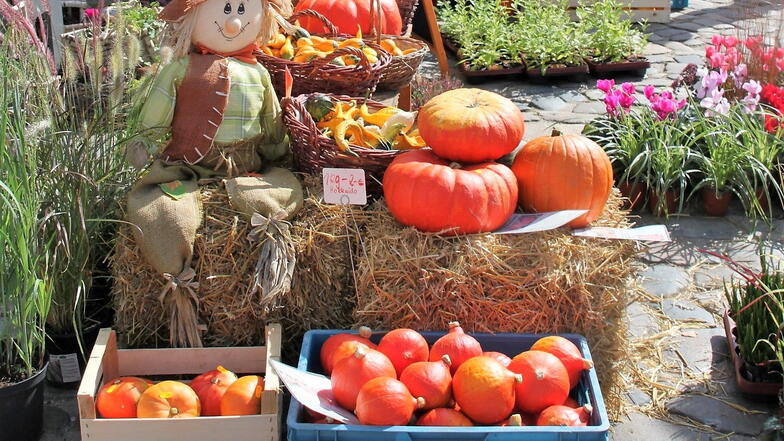 Auf dem Herbstmarkt in Bischofswerda werden verschiedenste Waren angeboten.