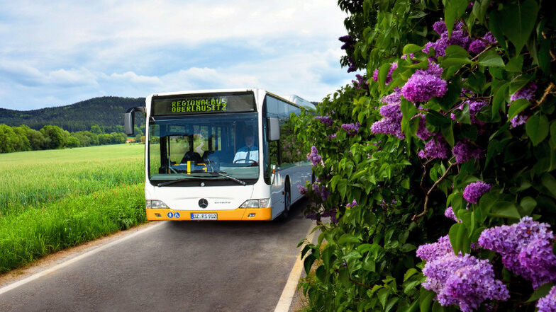 Dein Sommer in der Oberlausitz - mit Bus und Bahn schnell & günstig