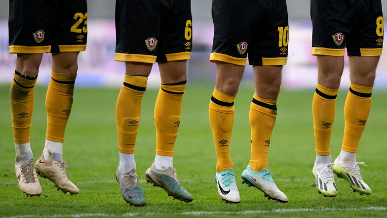 Mannschaft, Trainer, Neuzugänge: Darum steigt Dynamo Dresden auf