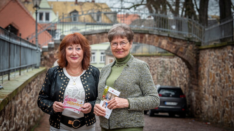 Rosemarie Grafe (l.) und Regina Schuppe arbeiten seit Januar als Ehrenamtliche für das Gästeamt in Leisnig. Die beiden haben sich von Beginn an pudelwohl gefühlt.