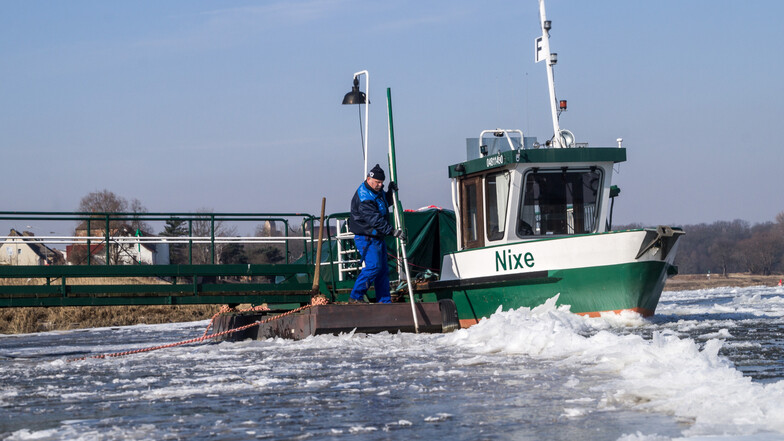 Die MS „Nixe“ überquert die Elbe in Strehla.