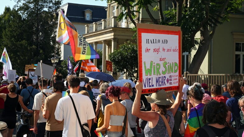 Die rund 300 Teilnehmer der Pirnaer Demokratie-Demo am Sonnabend zogen vom Friedenspark durch die Stadt.