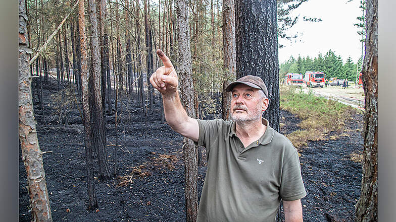 Georg Lindner ist der zuständige Revierförster im betreffenden Wald. "Wir können von Glück sagen, dass das Feuer nicht die Baumkronen erreicht hat."