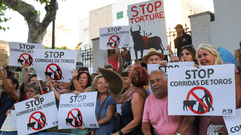 Demonstranten protestieren gegen die Wiederaufnahme von Stierkämpfen auf Mallorca. 