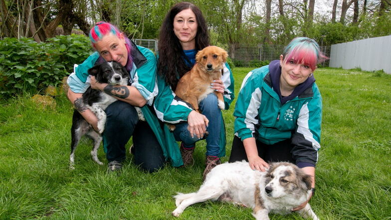 Die drei „Therapiemädels“ – Conny Buhlig (v.l.), Laura Kirmes und Caro Buhlig – kümmern sich ehrenamtlich um die Hunde im Tierheim Ostrau.