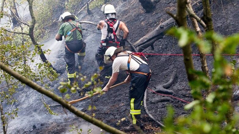 Über 150 Kameraden der Feuerwehr rückten zu einem schwierigen Einsatz in Basteinähe aus.